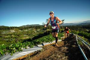 BIB: 
                            <button type="button" onclick="openModal(19116753)" class="btn btn-primary btn-sm float-right btn-popup" data-toggle="modal" data-target=".modal-high-quality">
                        <i class="fas fa-shopping-cart"></i> Add to Cart
                    </button>
                                            <button type="button" onclick="isThisMe(19116753, true)" class="btn btn-success btn-sm float-right btn-popup btn-isme hidden" data-toggle="tooltip" data-placement="bottom" title="นี่คือรูปของคุณใช่ไหม คลิกที่นี่เพื่อเอาเข้าอัลบั้ม">
                        <i class="fas fa-plus"></i> Add to album
                    </button>
                    <button type="button" onclick="isThisMe(19116753, false)" class="btn btn-warning btn-sm float-right btn-popup btn-isnotme hidden">
                        <i class="fas fa-ban"></i> Remove from album
                    </button>